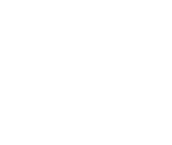 Logo CPB Centre | Bridge